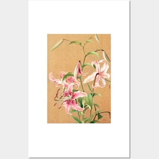 Rose Flower painting, Lilies no. 5 (1886) by L. Prang &amp;amp; Co Posters and Art